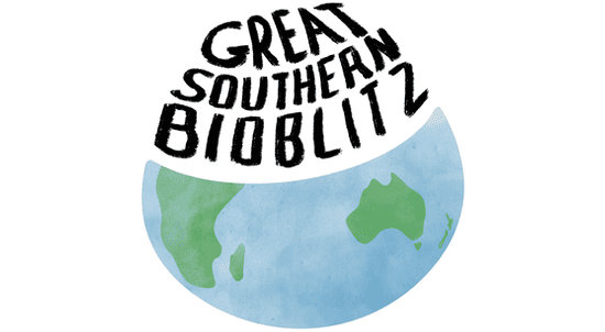 GSB-logo