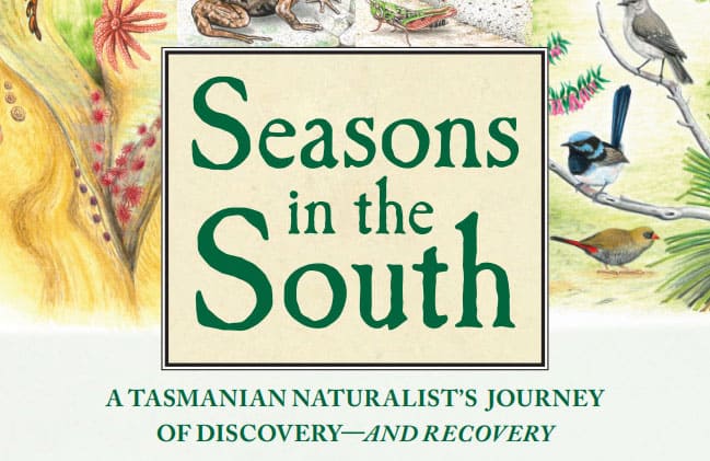 seasons-in-the-south