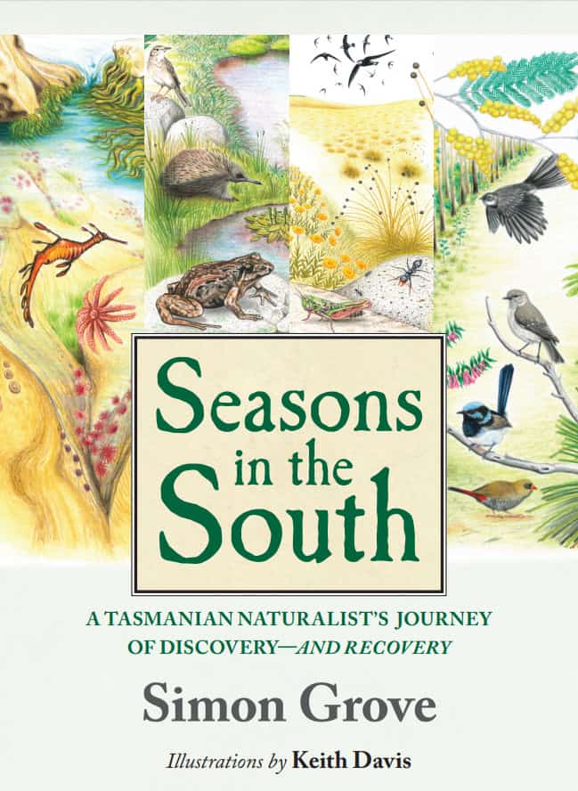 book-seasons-in-the-south