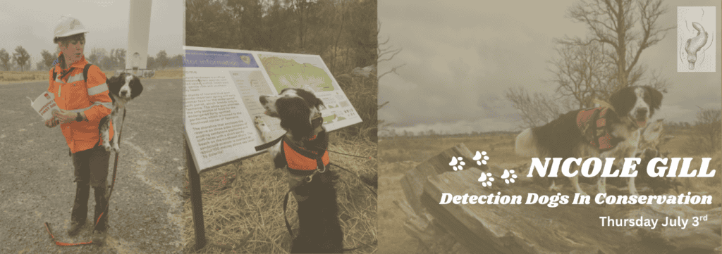 Nicole Gill - Detection Dogs In Conservation