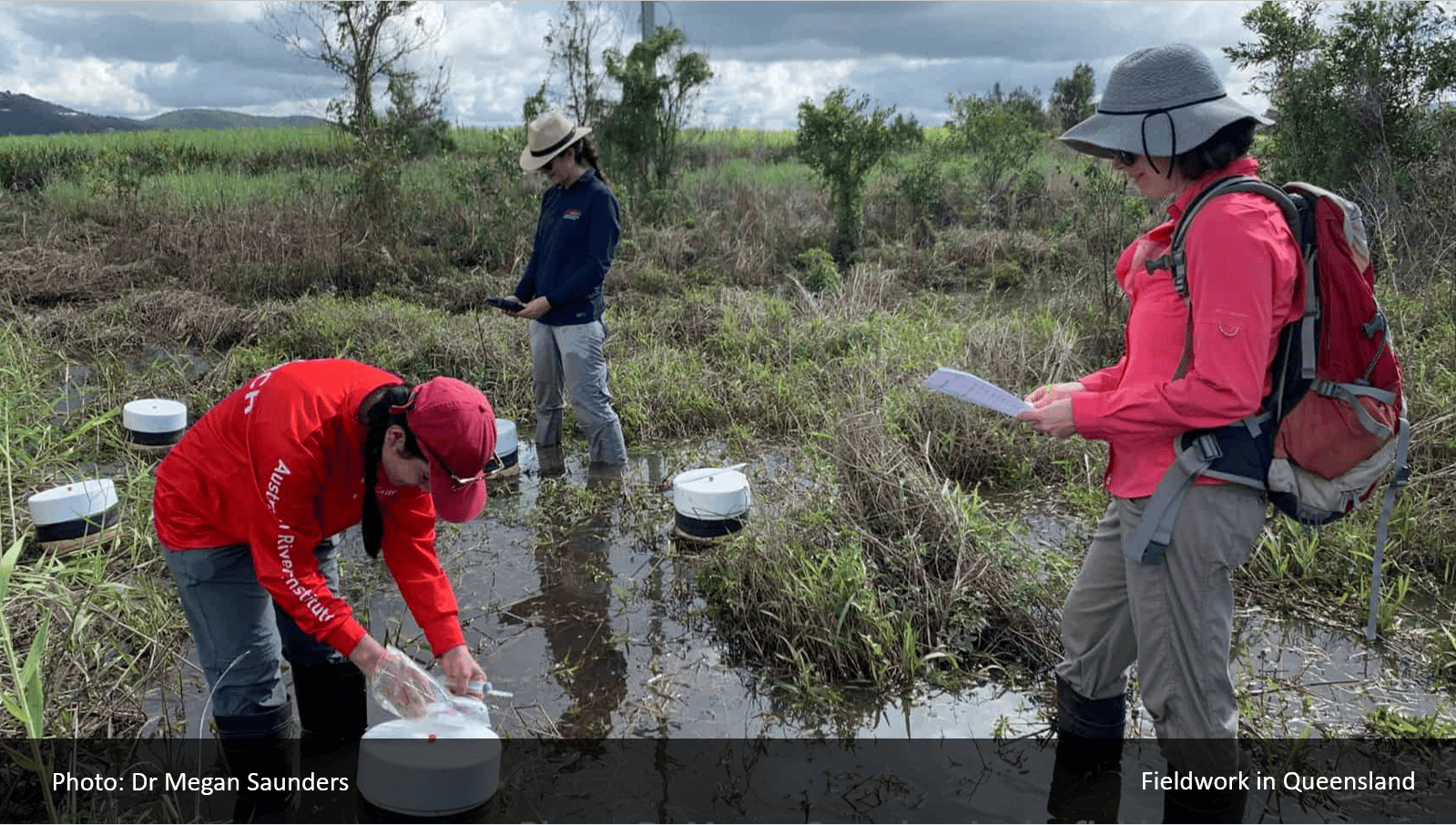 Dr Megan Saunders – Scaling up Marine and Coastal Restoration