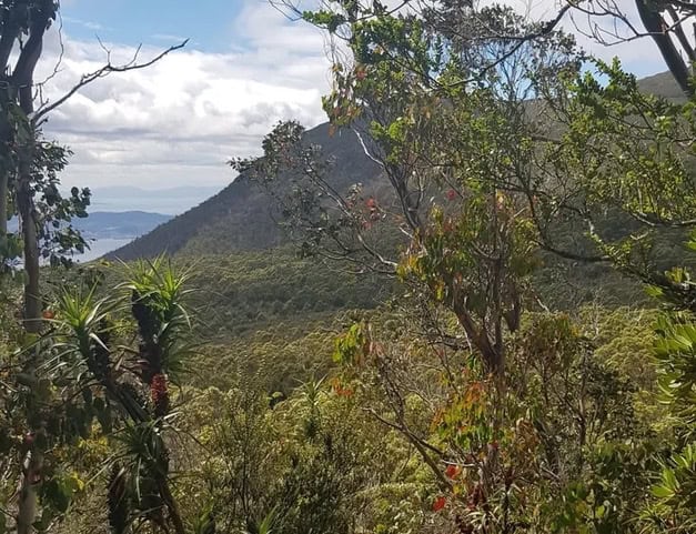 Excursion – Knights Creek Track, Tolosa Park