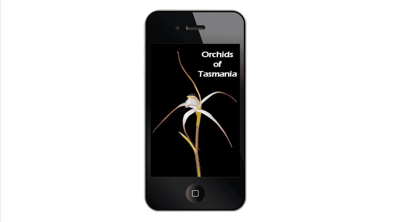Mark Wapstra and Malcolm Wells: Tasmanian Orchids: A Journey with an end (sort of)
